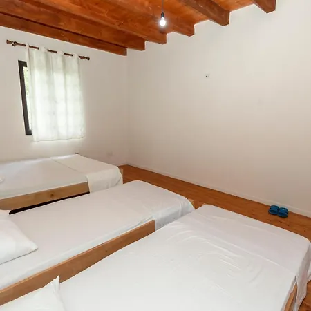 Shen Klementi Hotell *